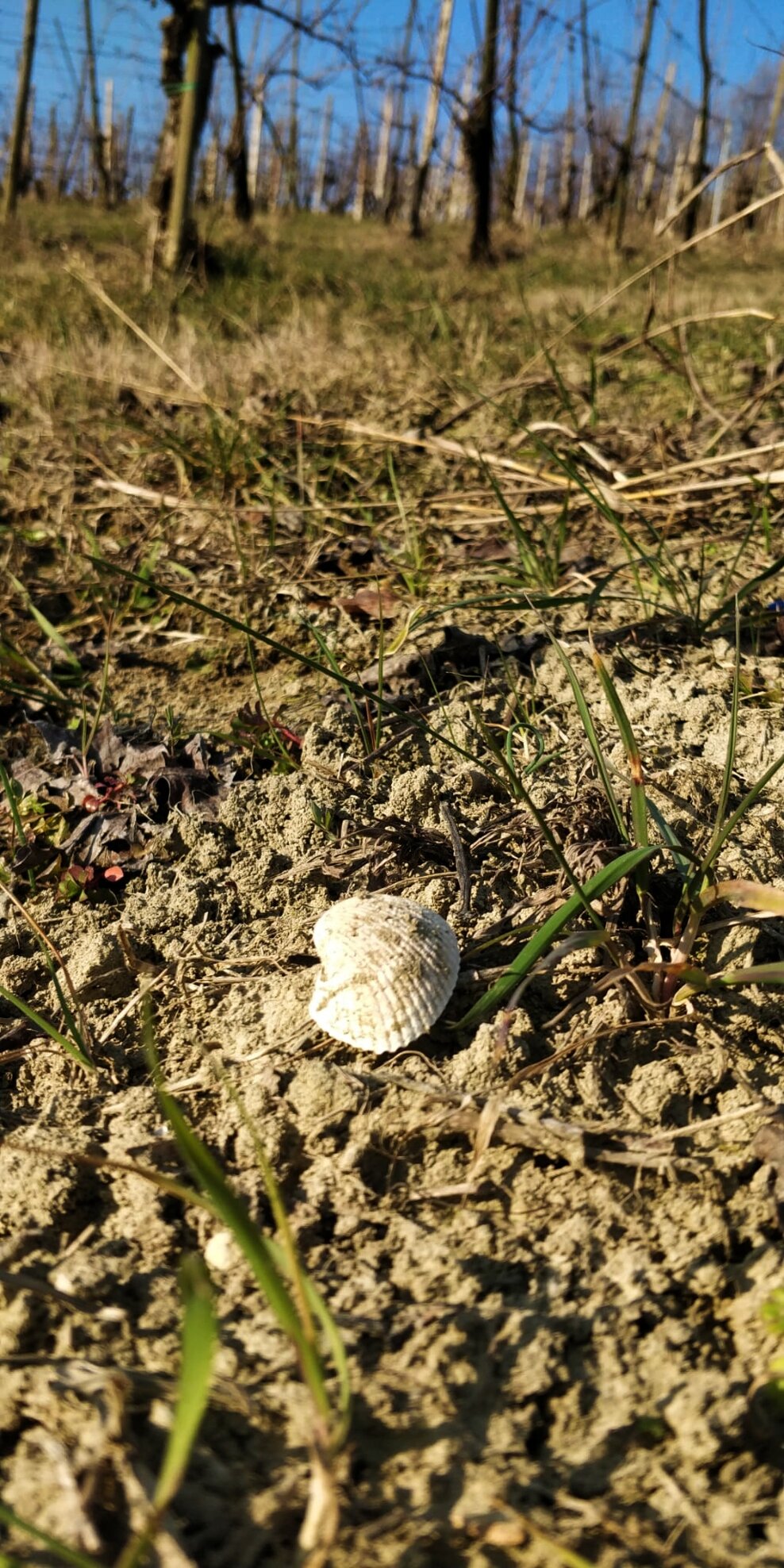 00c35477d260fe3f6fca59ac2a1c9d047ec47f16 00c35477d260fe3f6fca59ac2a1c9d047ec47f16