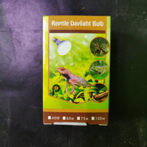 reptile-daylight-bulb