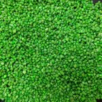 quarzo-ceramizzato-verde-5kg