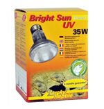 bright-sun-desert-35w