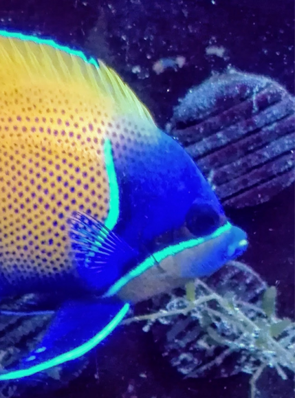 5057cd7e1df5f1519005dfd71ec99f640f84cef9