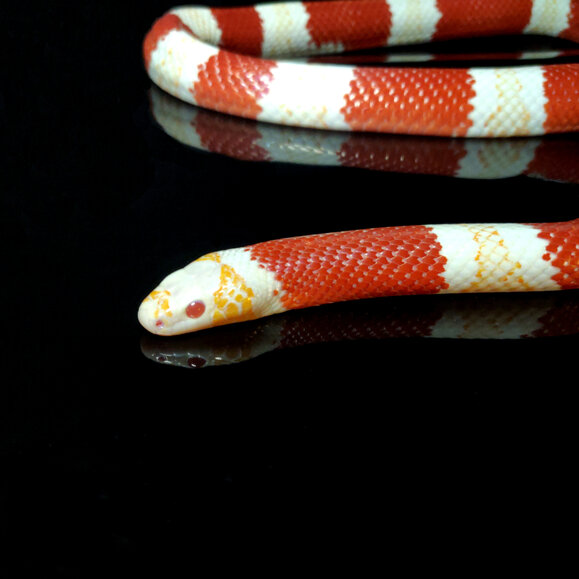 86bb7951af3c53da082230a2ac9d952da04bd336