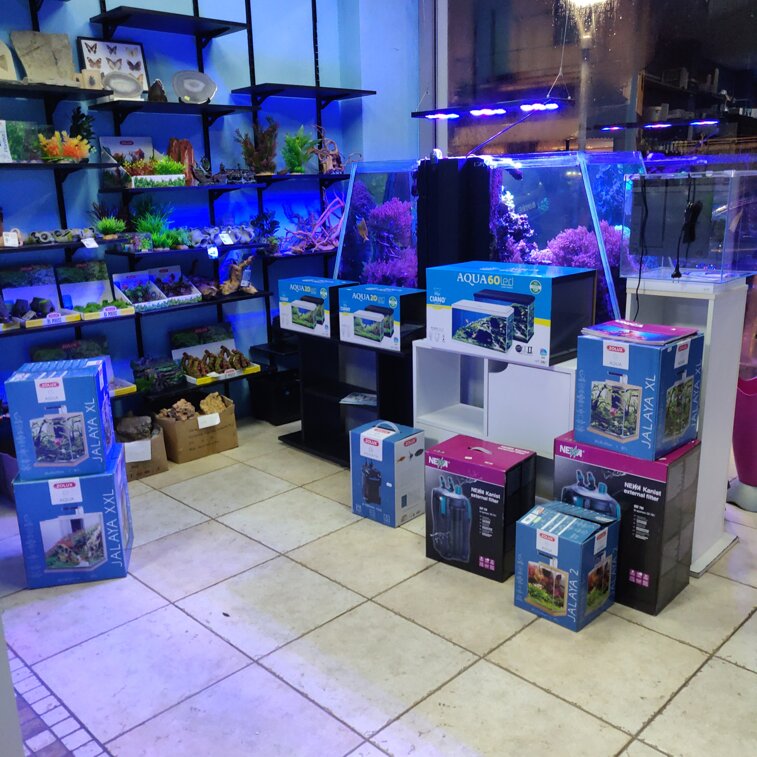 8a019e1baf3c41d9ab596618974c27ba2be92005