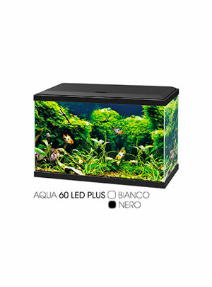 aqua-60-led