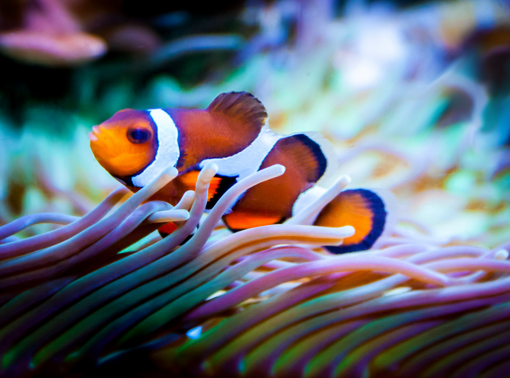 b6588b2a96121ae8c505942a1b265e9ad14c7543