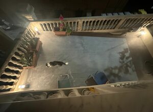 1efd43_98c95492c5c3472a8cb47426e2bc63fc~mv2.jpeg 1efd43_98c95492c5c3472a8cb47426e2bc63fc~mv2.jpeg