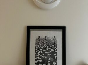 1efd43_f9d5e99d776b4df6804f2f8067c0ecdc~mv2.jpeg 1efd43_f9d5e99d776b4df6804f2f8067c0ecdc~mv2.jpeg