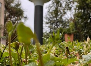 1efd43_e3c3c2882975483391c8a2a31b7f1269~mv2.jpeg 1efd43_e3c3c2882975483391c8a2a31b7f1269~mv2.jpeg