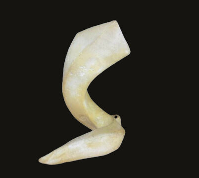 fba3d54466ed1dedeac867ea2c182ca3a4d42e44