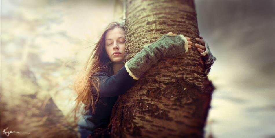 IL POTERE SILENZIOSO DEGLI ALBERI: SCIENZA E POESIA DI UN ABBRACCIO