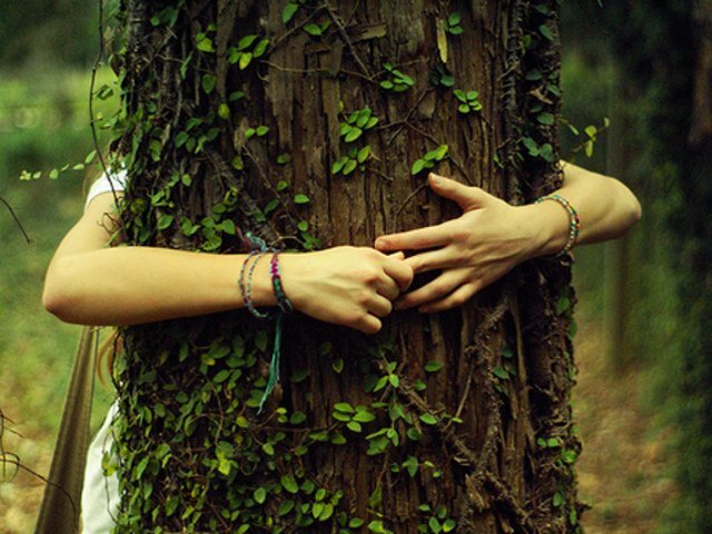 NATURE DEFICIT DISORDER: QUANDO LA MANCANZA DI NATURA ALIMENTA IL DISAGIO GIOVANILE
