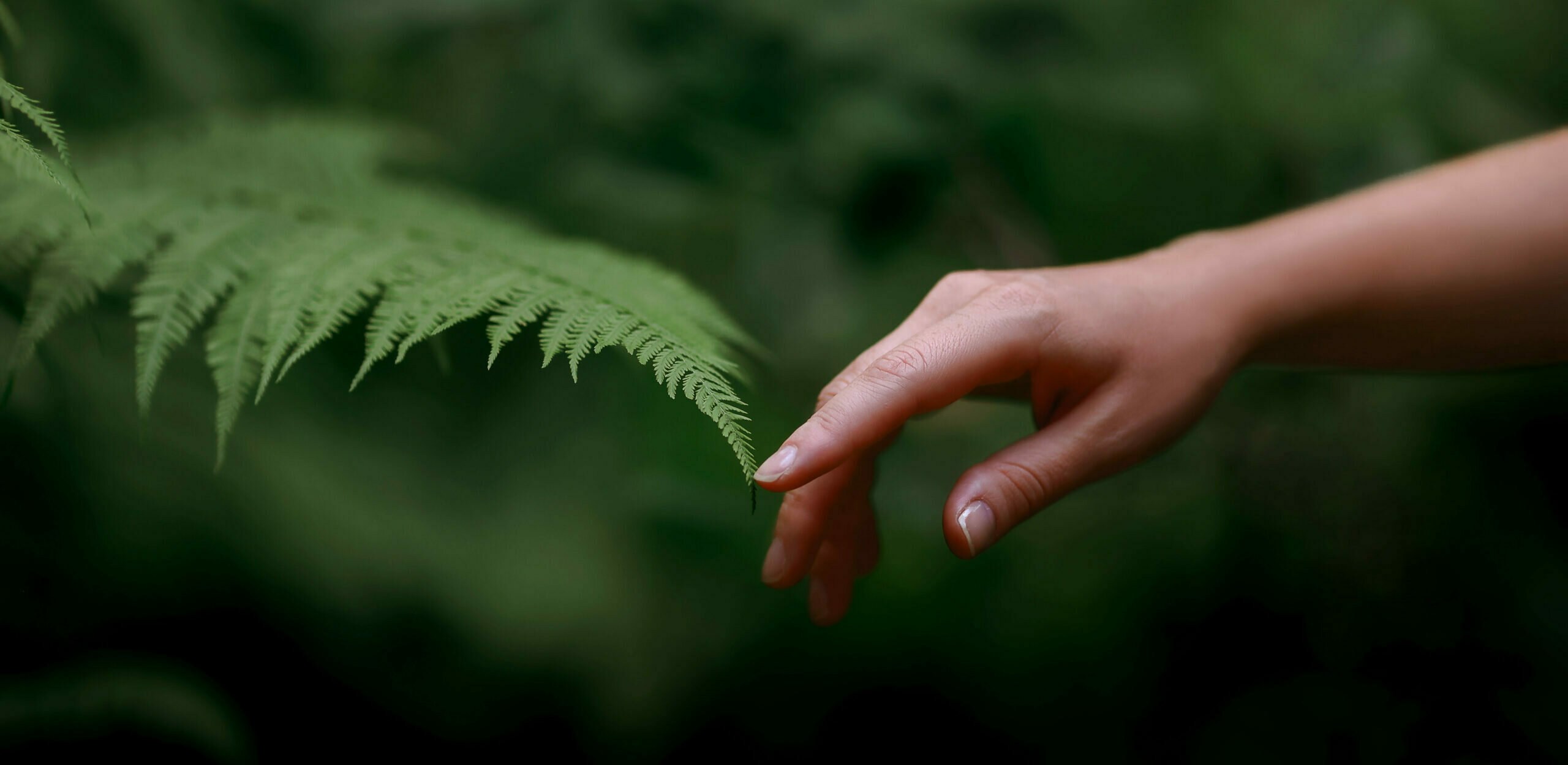 Biofilia e Benessere: Come la natura aiuta i giovani a vincere l&rsquo;ansia