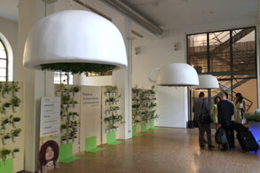 01c0db35c1a256303d326b1a896ba88b9fd3b899