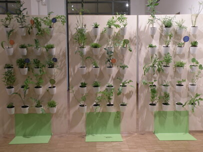 5029c7f1c68cd7e545b94d0471ff2d455823409e