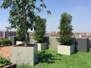 99055a4b2f7a3cfa6b7bdbadecba8a7b2ba901d9