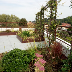 imgi_74_aa5bda_2ef3b1eae9404e5db3e8366d2b6d6c94~mv2_d_4160_3120_s_4_2