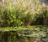 33372eb42bbdba25a4f5819ee4cf0bbec91d0daf