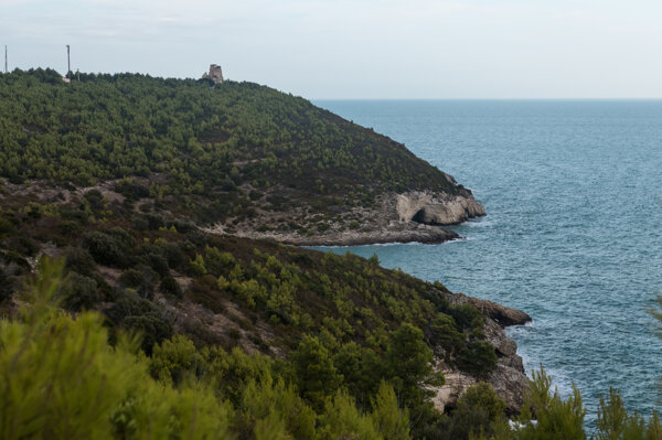 743d7ccfdf802d1670837cec85f5b365a58a0fdb