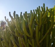 fb6b88b35c9e60dbd15c94cee68c46a35c68d02e