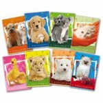 quaderno-formato-a5-15x21cm-80gr