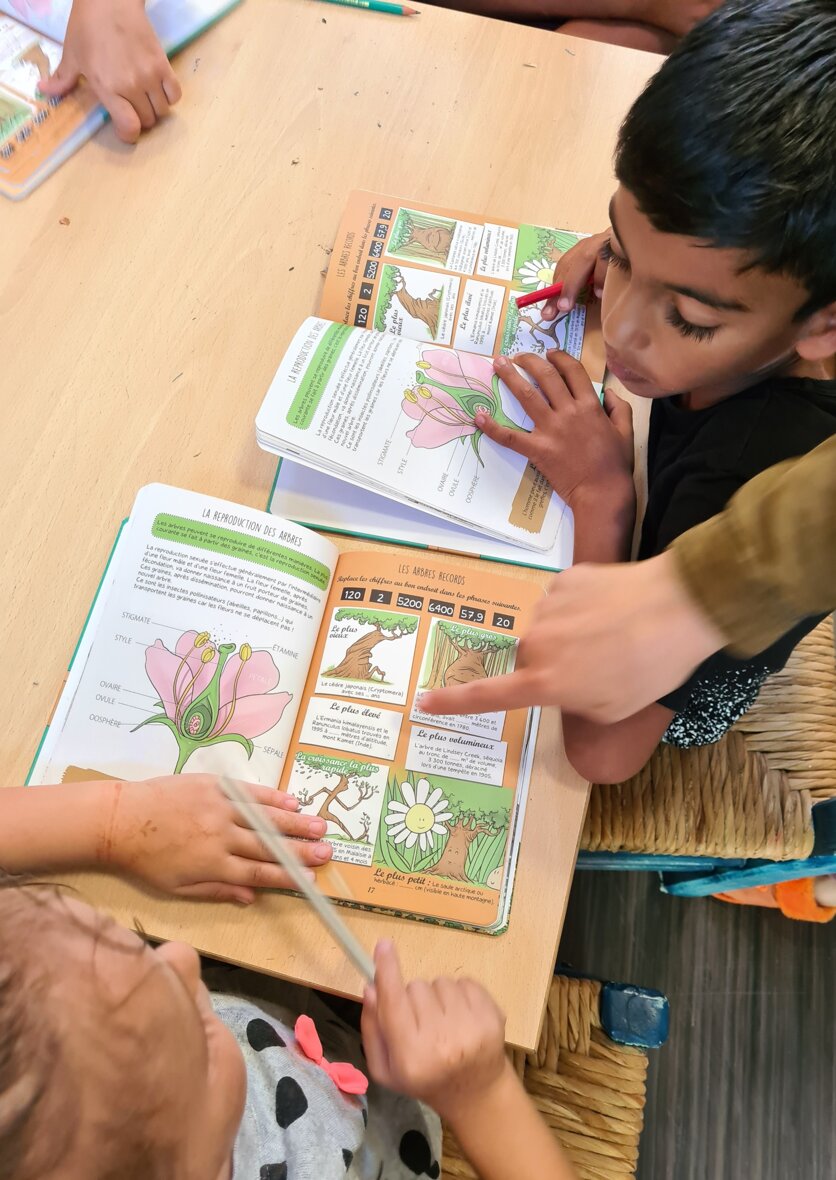 4ed3e91004887408f0b9d8737fb2af2ded4cc413