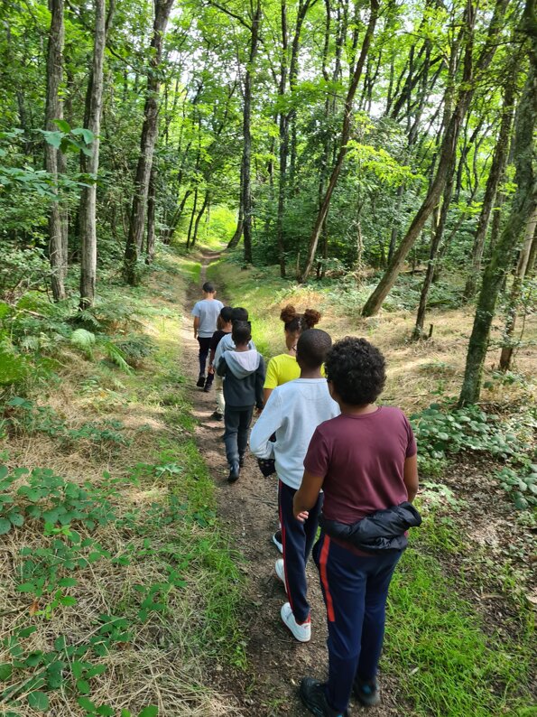 dfda21110477cb91562ea4606a66ca76c404bf4e