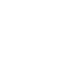 1 noyàlogo blanc 02