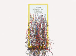 belgomme 30.5 x 24 cm.jpeg