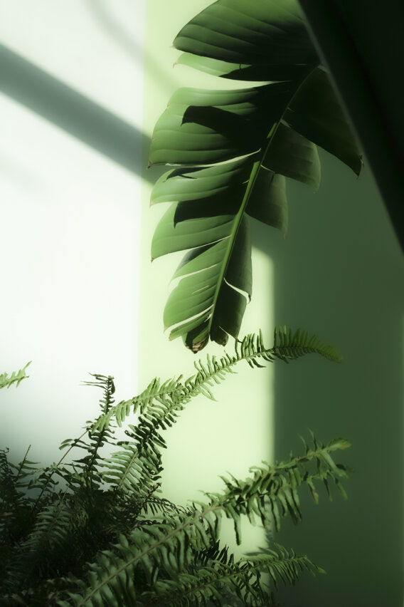 atelier_31_4 2.jpeg