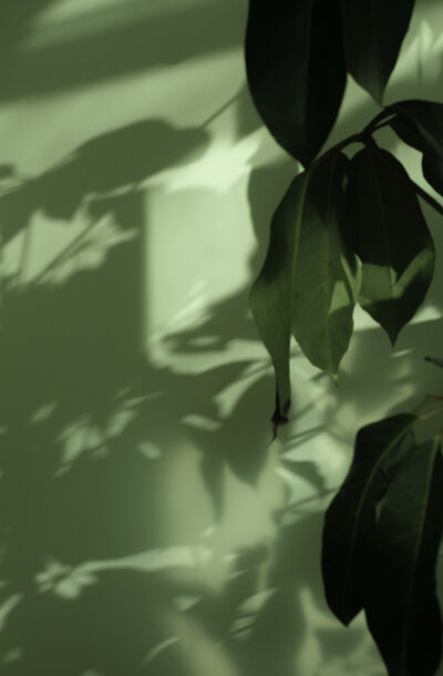 img_2025.jpeg