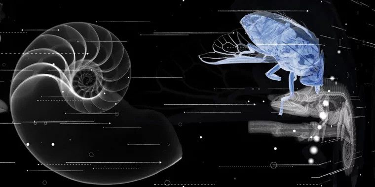 immaginario+scientifico