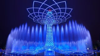 treeoflife