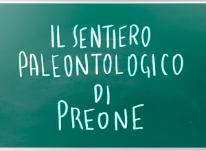 02_docufilm%20preone 02_docufilm%20preone