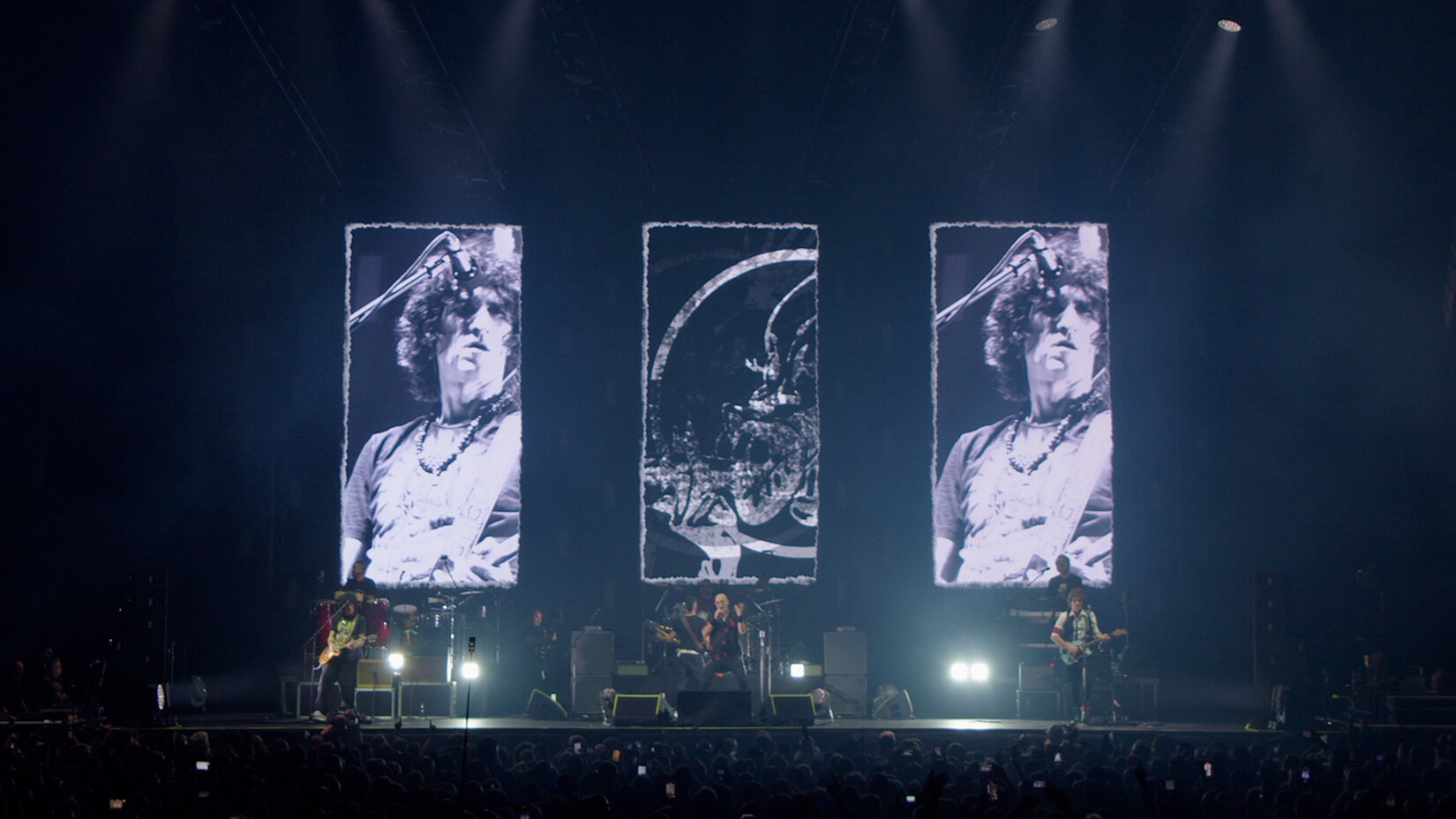 negrita_09.jpeg negrita_09.jpeg