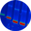 imgi_24_nati_dna_image