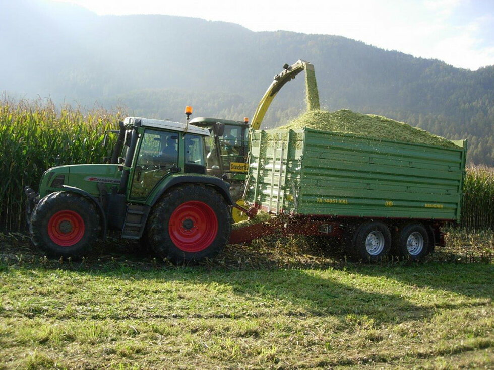 437954f6b409ecfb2421fd5695f6a43a752842b7