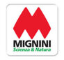 mignini.jpeg mignini.jpeg