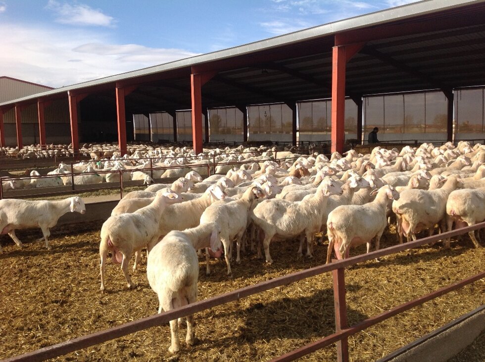 59b8b2bb00c7859ef2e90f7f74addb333355035a