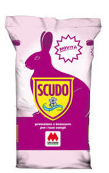 b3e50a92daa97c5c89101652e0247ea4053040de