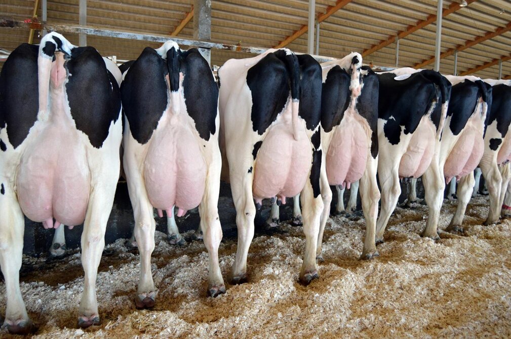 cc3a5930c51e5fe7dfce8801389631ae9794b2a2