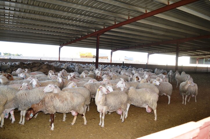 d6d63be2e7175beb35fc03e81a6f64f77f6305f0