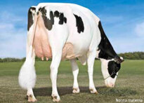 d9e2b8f610d6035f633ff84adb69d53aa0562da4