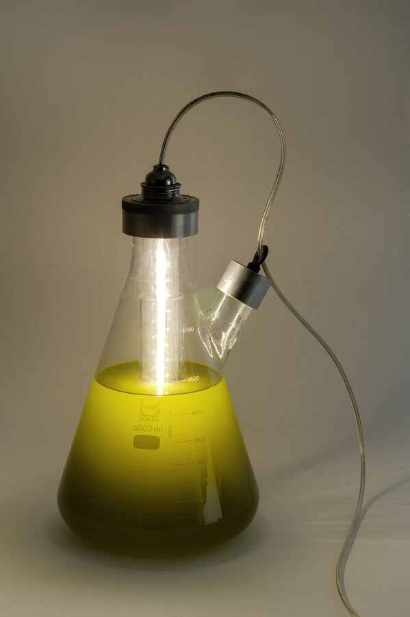 78ed0b6b5caa533c3db9a4e7b08532daa1ff3fb0