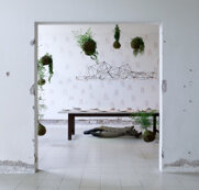 ecb9d5f0ba9dd68ebf9d2681a0b6f5ab1902193b