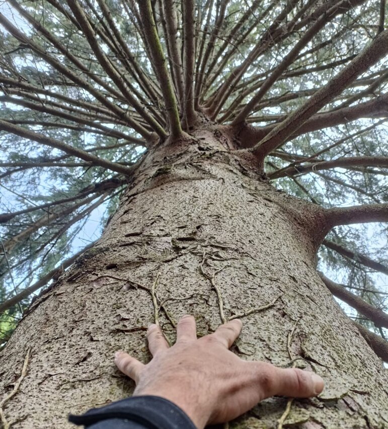 5992bd563a9b65dcd63b6508208520ed96122ffc