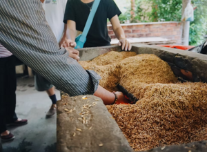 2b68e6_cacaf25863414e7a91d81a39df06104a~mv2 2b68e6_cacaf25863414e7a91d81a39df06104a~mv2