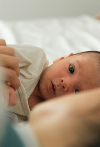 2b68e6_63b5edab4d2e4bb8a2146eb5af09eb56~mv2