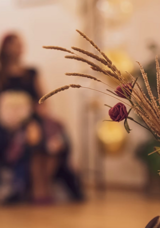 2b68e6_20476fc4499843e69ec996ecc0dd9e98~mv2