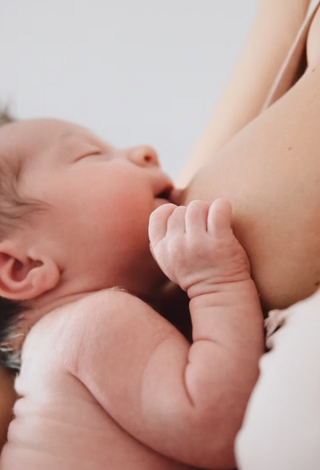 2b68e6_659e4ab37a134499b138d03dffef0a90~mv2