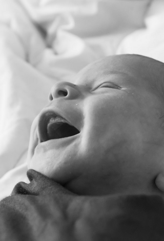 2b68e6_3812eaac69d44820a7ad27748baa5a6b~mv2_d_6016_4016_s_4_2